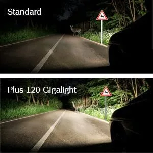 Tra Cứu Chân Bóng Đèn Ô Tô Chính Xác – Không Còn Lo Mua Nhầm