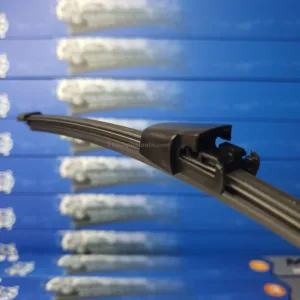 20241118 123337 20241118 123337